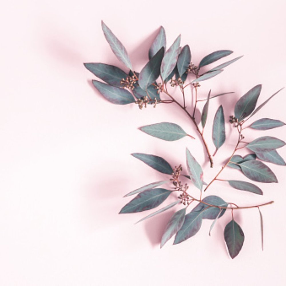 Meet your Posher, Shan